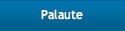 Palaute