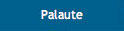 Palaute